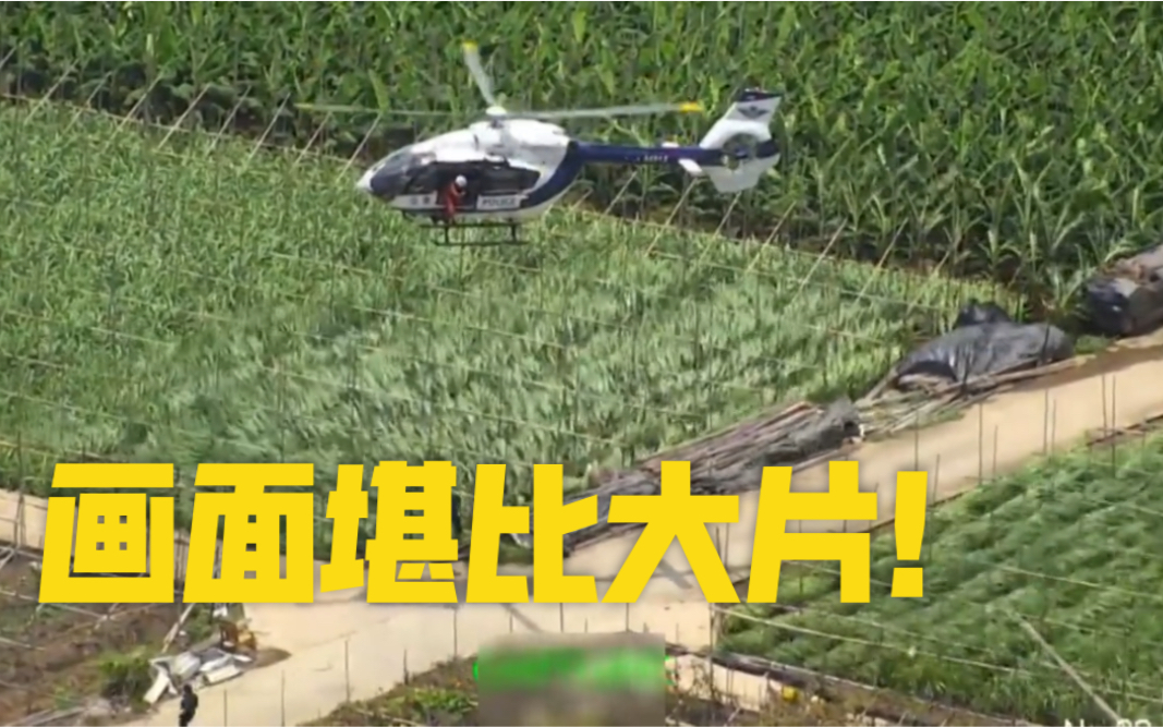 神仙对局！竞猜热点比赛过程堪比大片