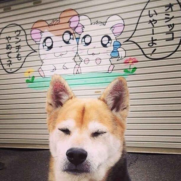 法网倾覆之夜，年终钢铸之魂，辛纳何以单肩扛起一个国家的等待