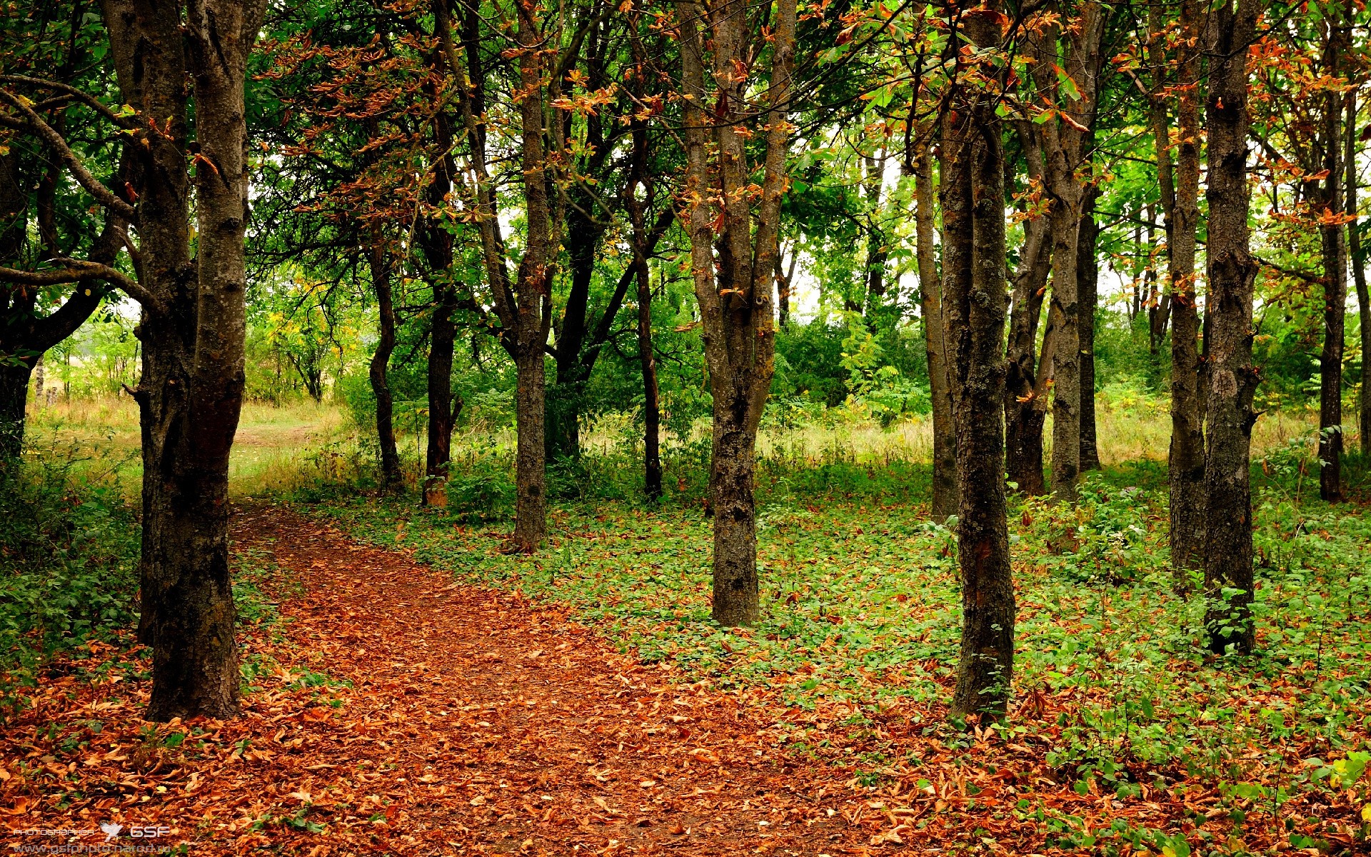 绿茵场上的闪电，当牙买加速度突袭伦敦桥—一场隐喻中的国家德比