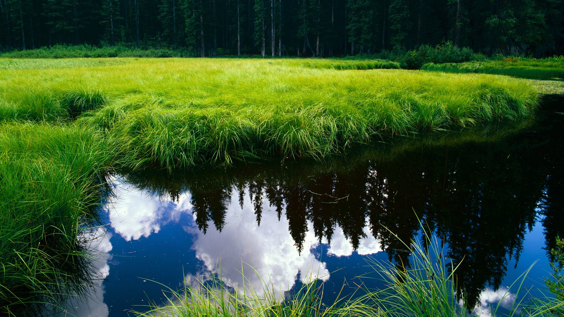 绿茵奇迹,伊拉克黑马冲垮里昂,迪巴拉关键节点连珠炮得分定乾坤