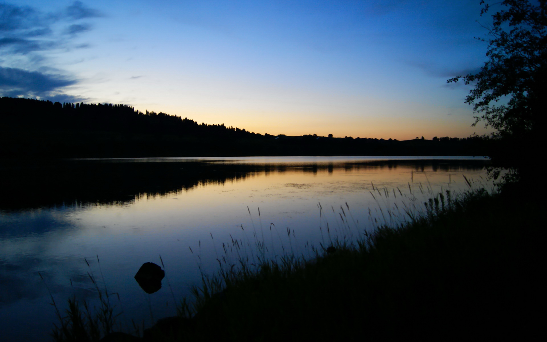 新王当立，旧神黄昏，福克斯生涯之夜与活塞的青春风暴