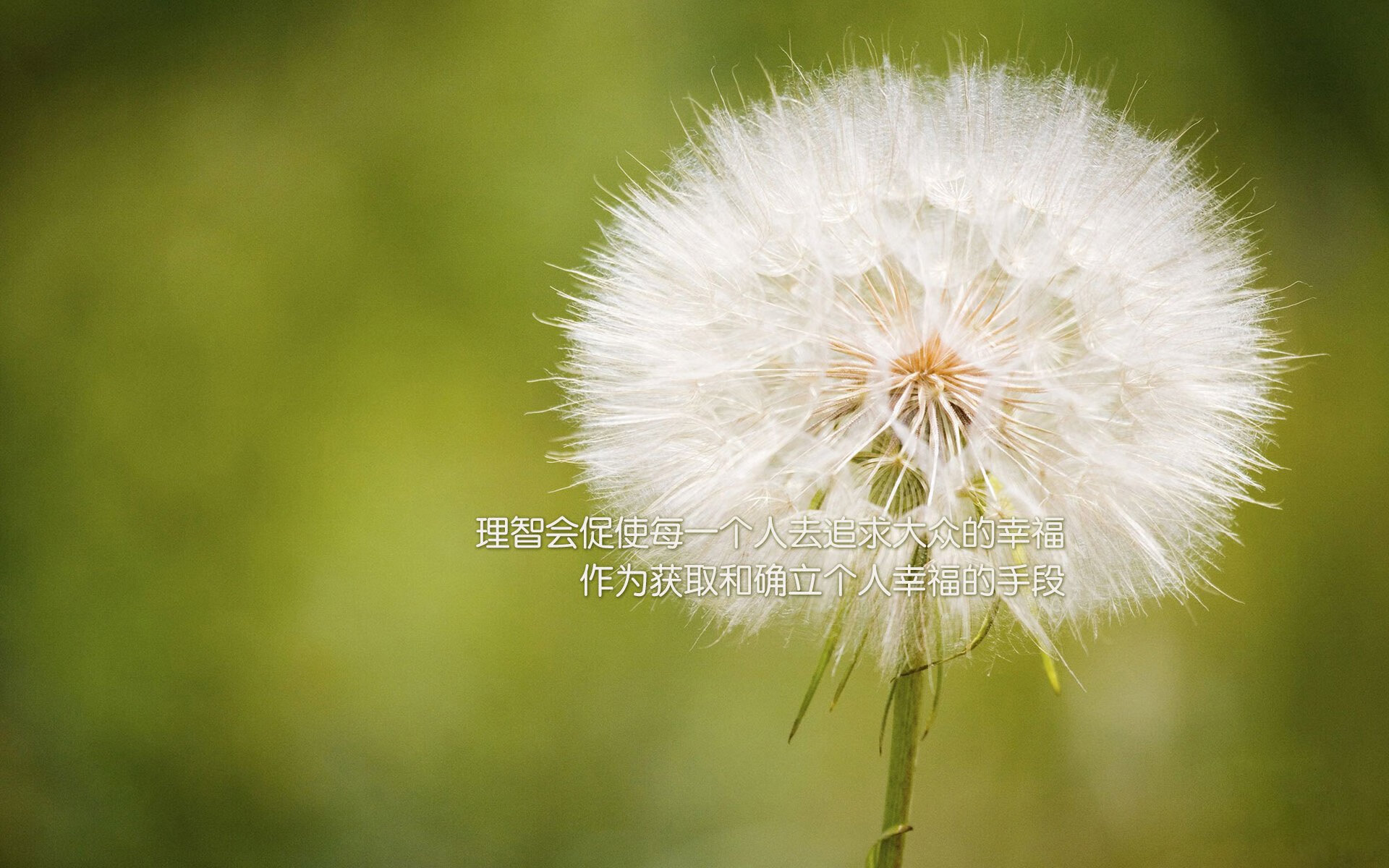 冰与火之歌，爵士寒潮粉碎猛龙，东契奇炽热绝杀奠定关键先生之名