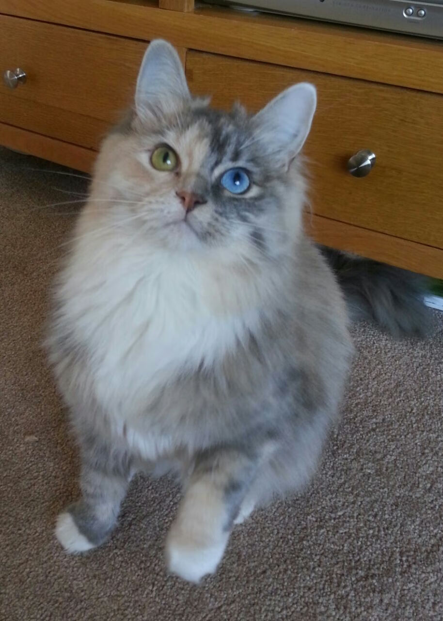 神来之笔，德里赫特唯一绝杀改写历史，乌拉圭险胜卡塔尔的关键先生密码