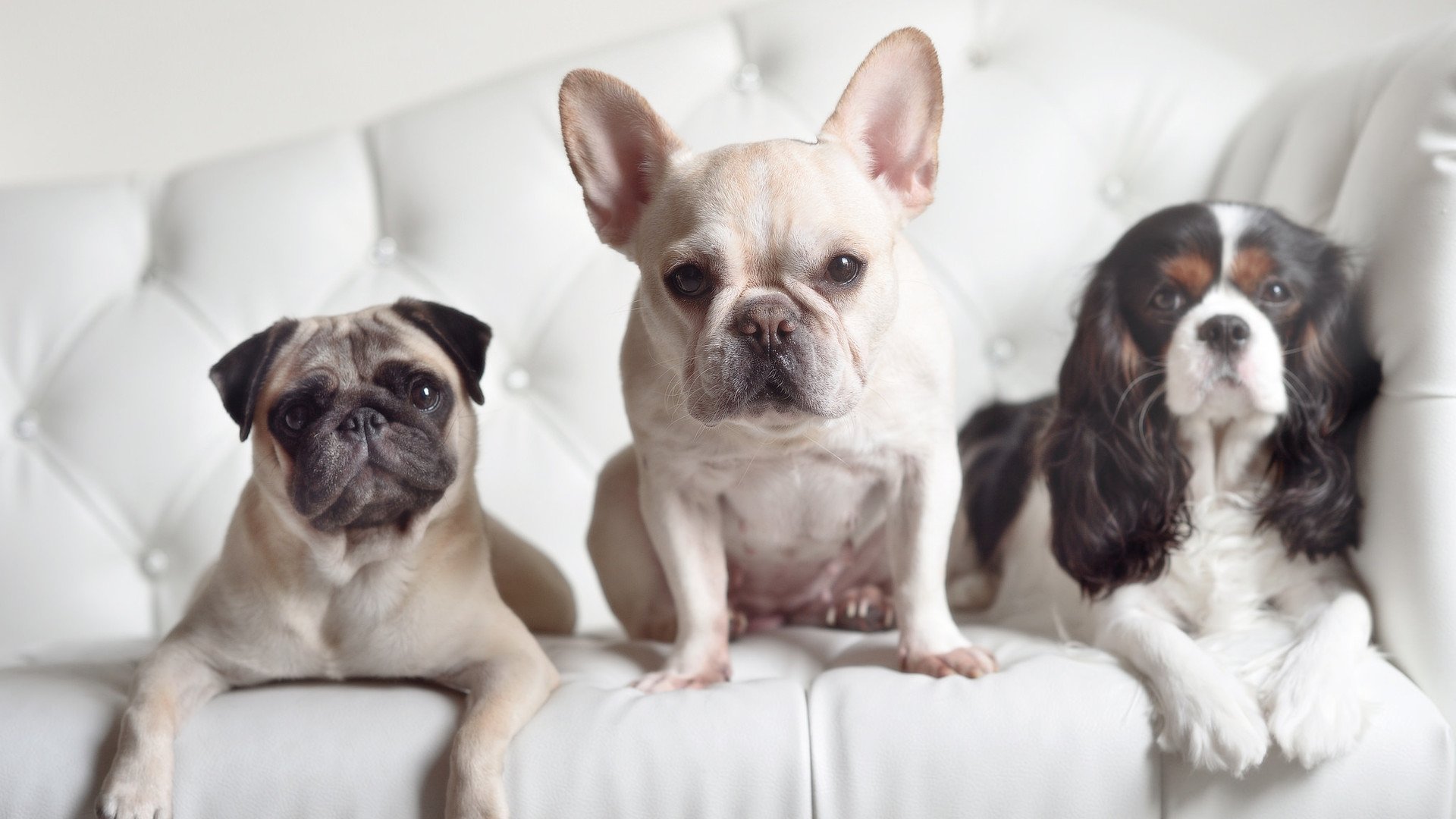 数据巅峰与团队凯歌，当小贾伦的单骑难敌勇士的洪流