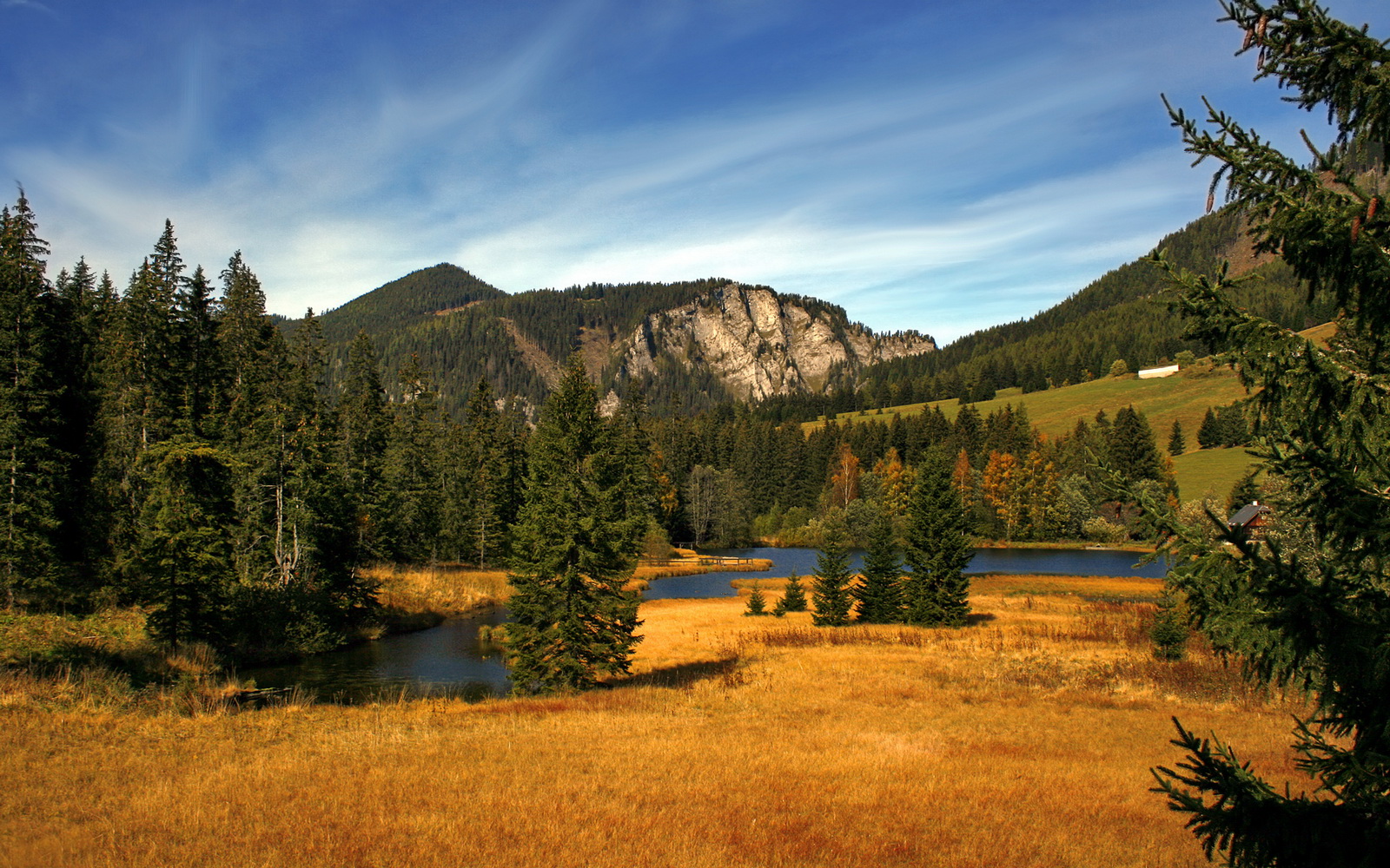 冰与火的淬炼，莫兰特如何用锁链式防守让雷霆在魔术之夜熄火