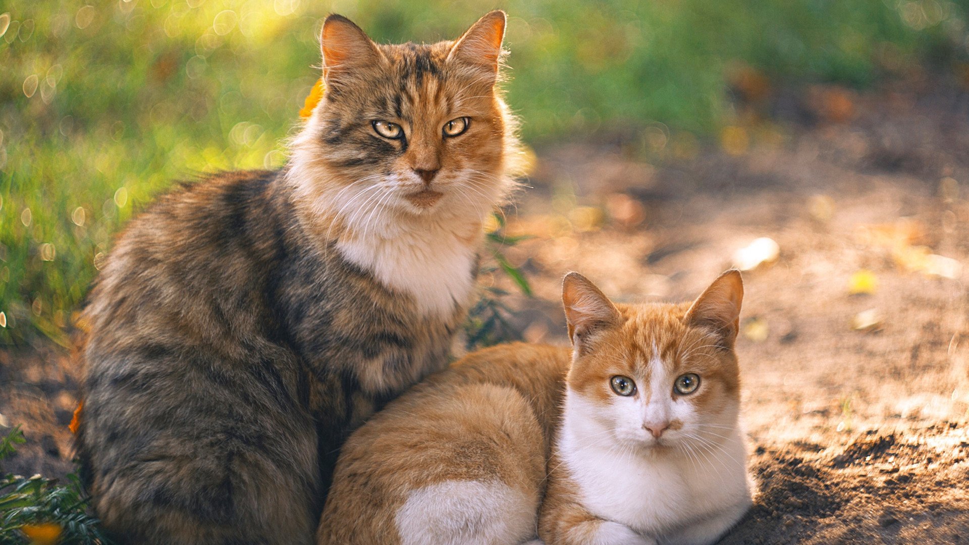 虚无的10号,当厄德高在基辅的雨中写下自己的名字
