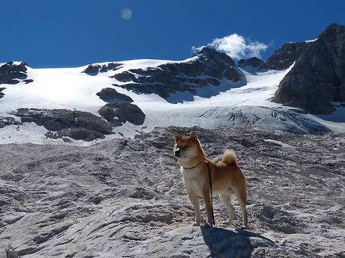 卡塞米罗的极速防守,当F1街道赛之夜的引擎声在绿茵场上回响