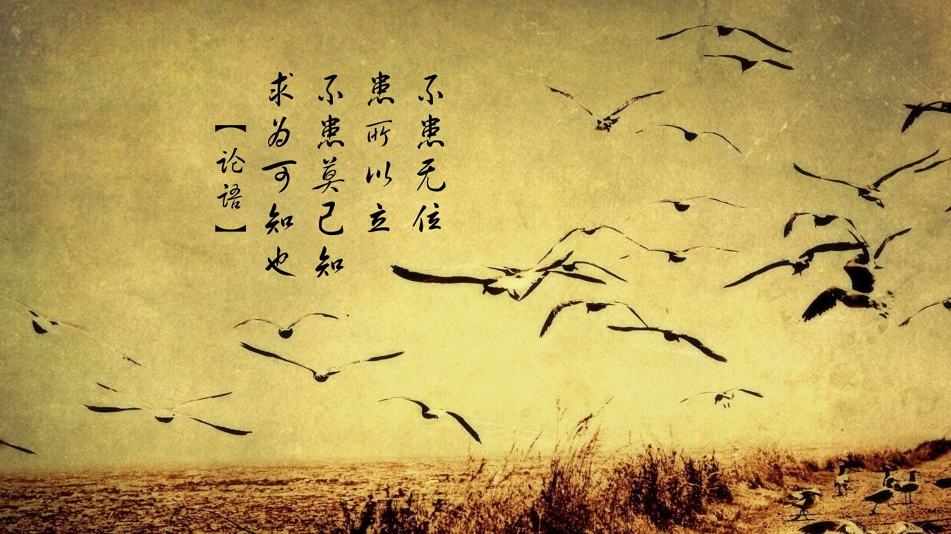 奥亚尔萨瓦尔，从风中之烛到巴斯克灯塔