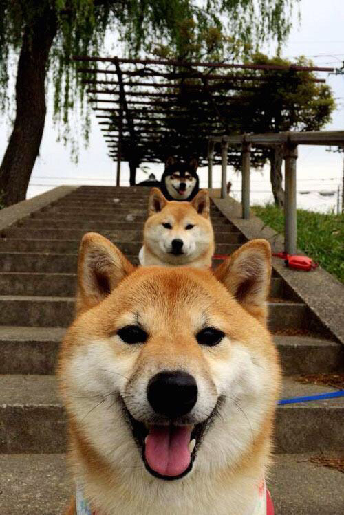 跨界巅峰对决,恩比德巨星价值闪耀,广厦队惜败公牛引热议