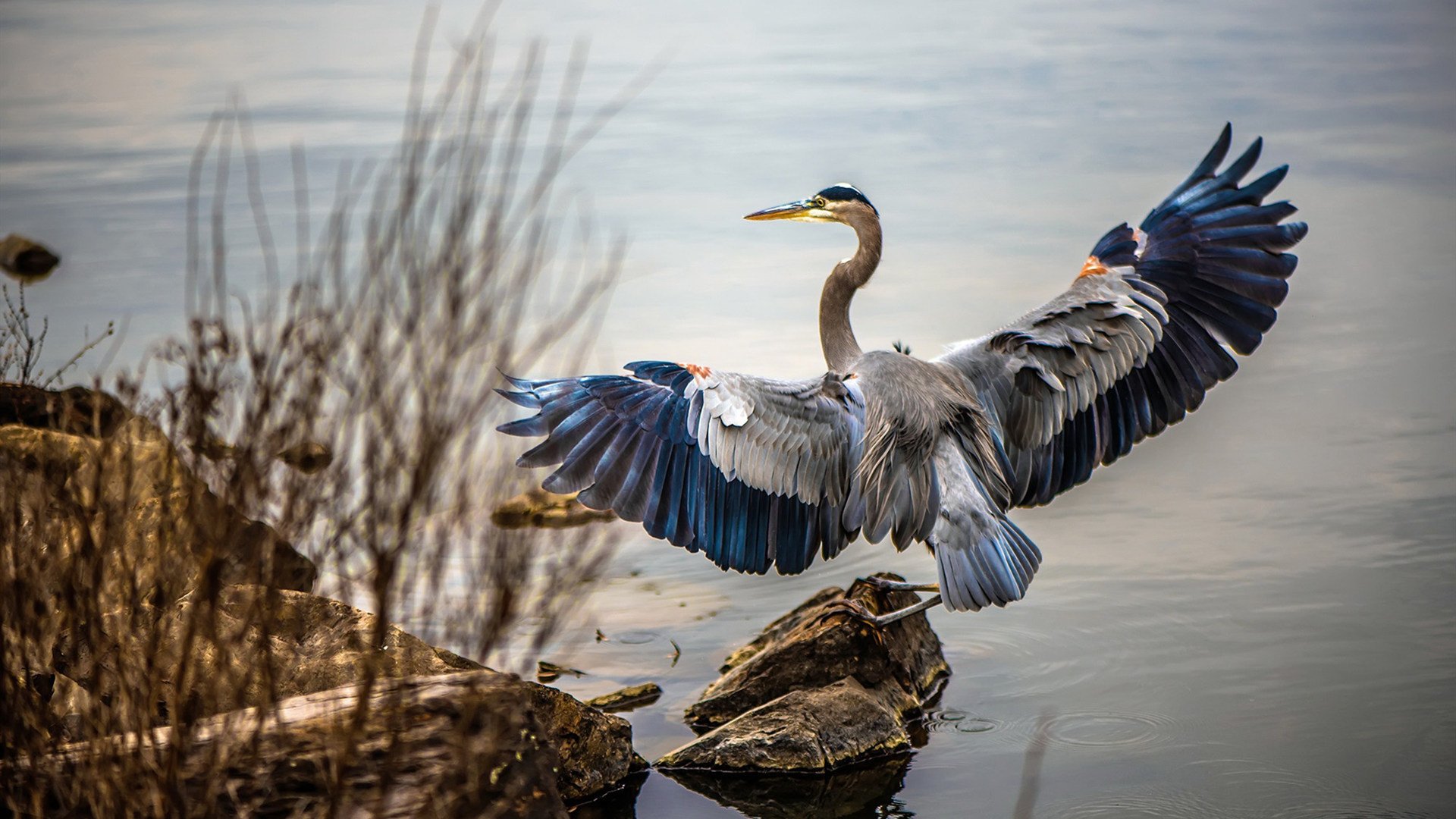 从暗影到圣光,奥运前夜的终极救赎