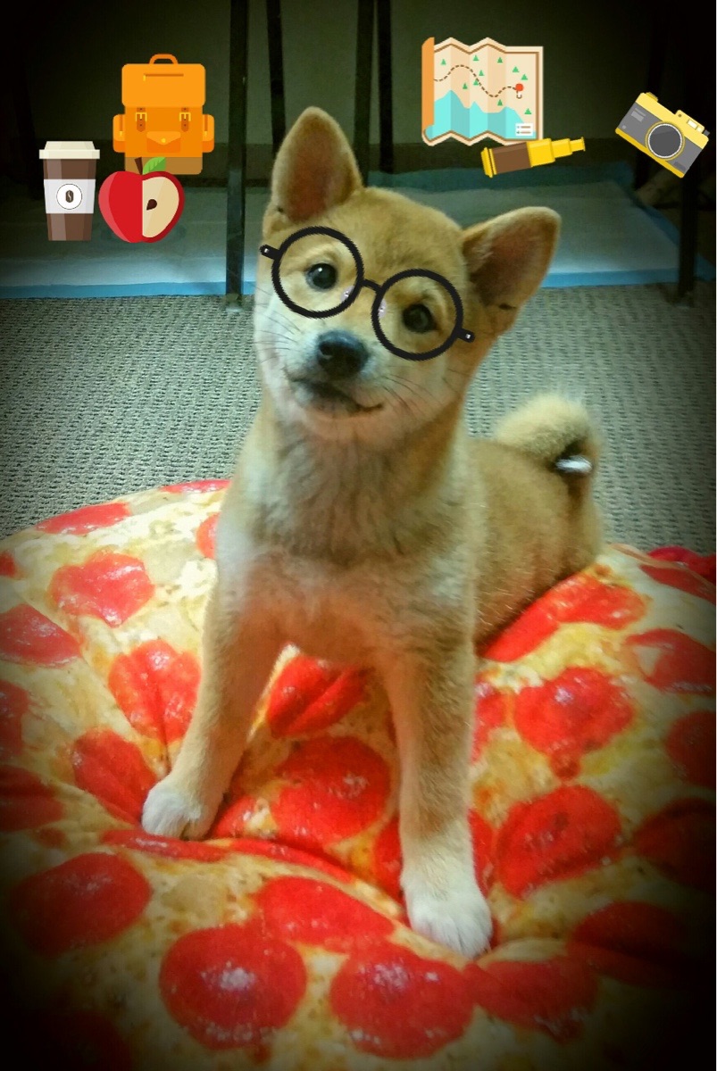 天才的两种形态，姆巴佩的爆发与希腊的末节法则