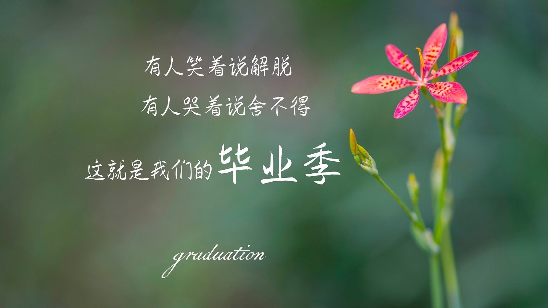 跨界破局者，当客串的武切维奇成为勇士碾压爵士的关键攻城锤