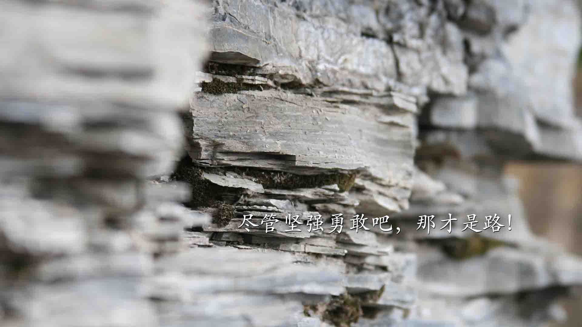沙漠与丛林的碰撞，穆西亚拉致命一击，哥斯达黎加硬撼阿联酋改写世界杯格局