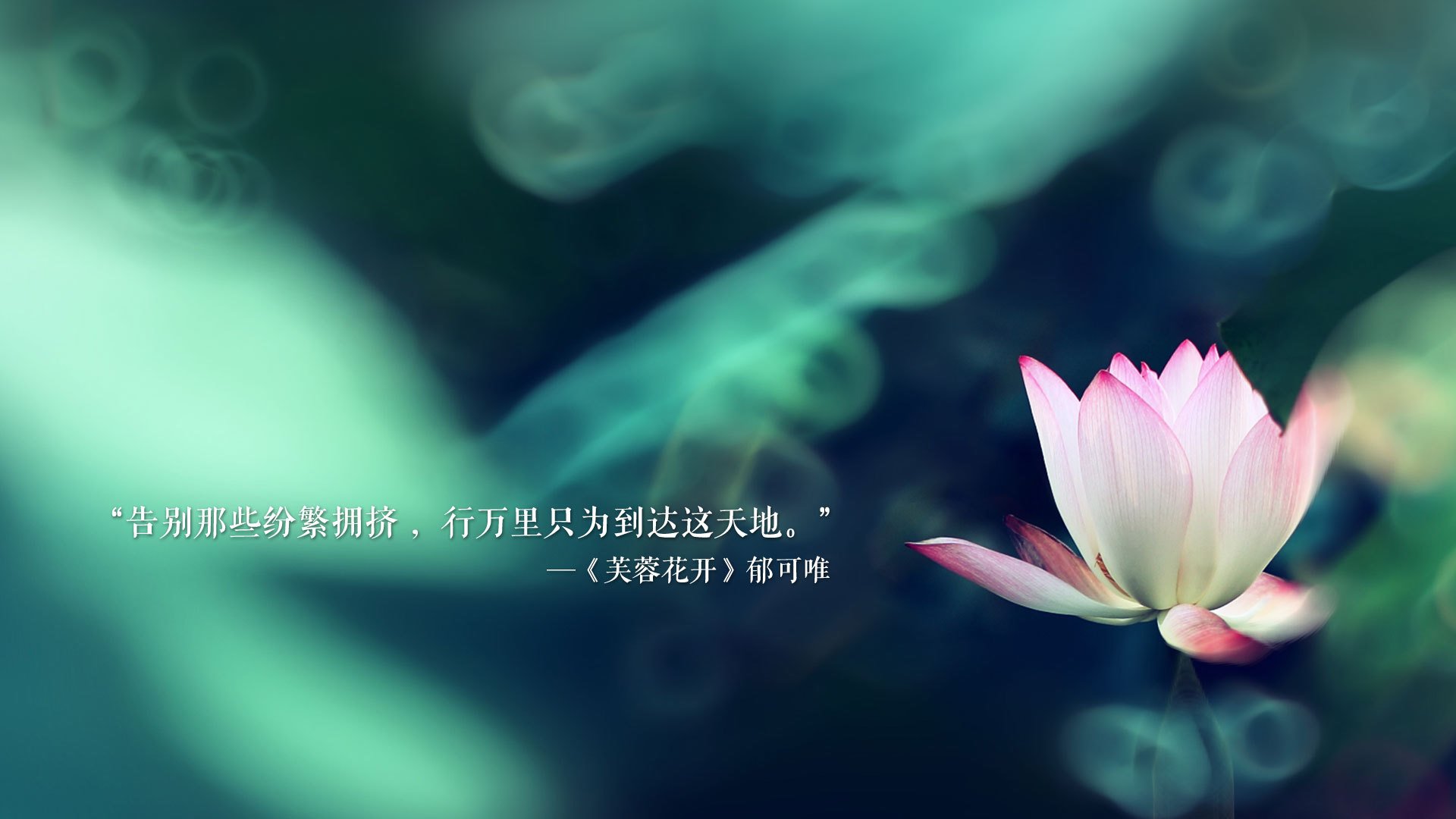一场不可能的胜利,坎塞洛的指挥棒与泰国足球的崭新黎明