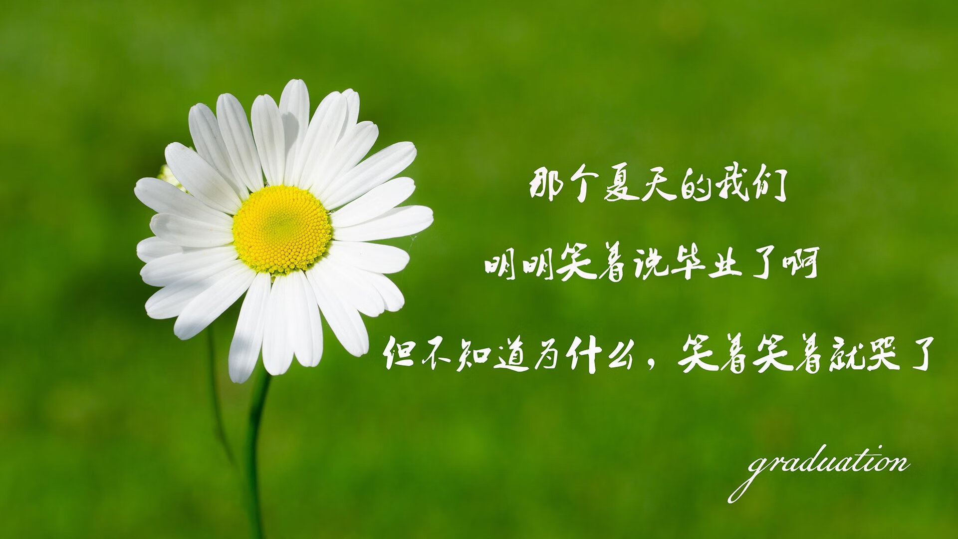 冷夜的孤注一掷,2026世界杯G组,挪威绝杀英格兰,内马尔完成致命一击,临场调整书写绝唱