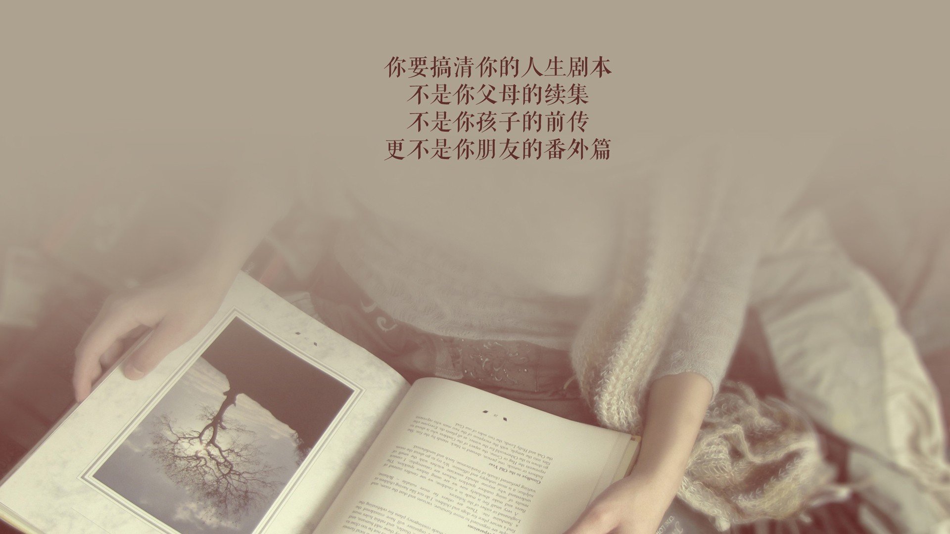 德黑兰的泪水与马赛的回响,2026世界杯H组生死战,格列兹曼的压哨绝杀让美伊对决写入永恒
